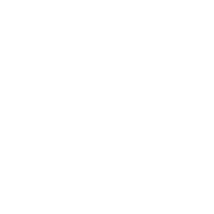 <b>Security</b>